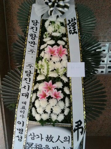 �����׸�.�����Ź��̻��