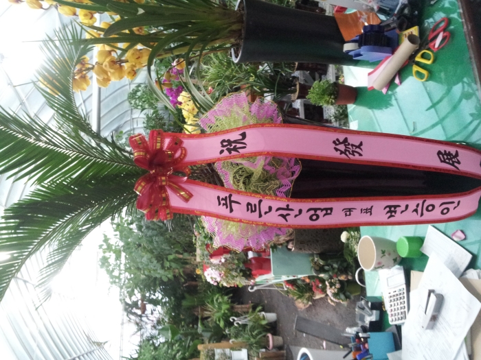 Ǫ�������ǥ��