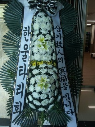 �ѿ�Ÿ��ȸ(�̻�x��)