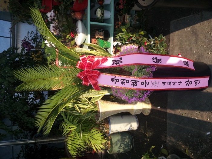 ��û�ؿ��ǥ�̻��