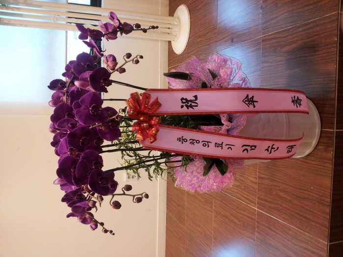 ��û�Ƿ��(����´�)