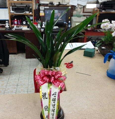 ��ȸ����