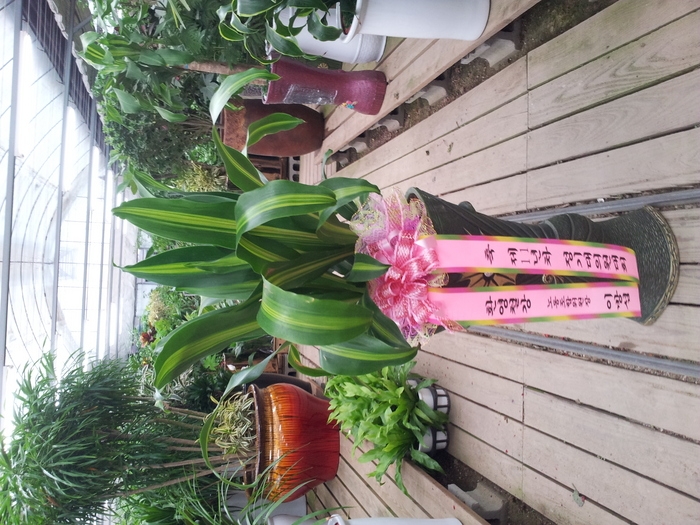 ȯ��ö������(��)