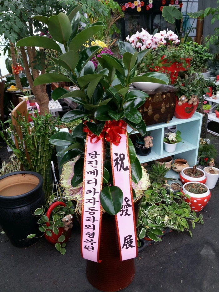 �����޵�ī