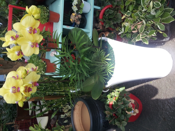 ��â����(2��)