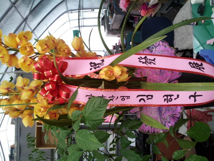 ������� ��������