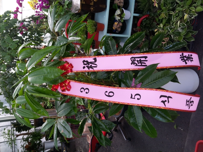 365��ǰ����ڴ�