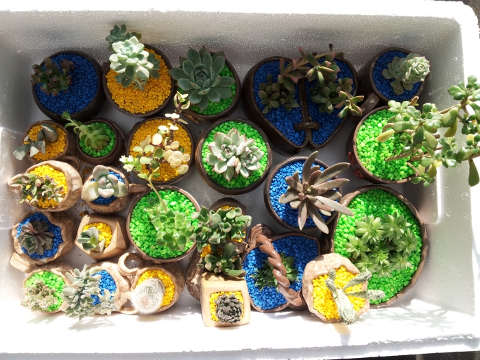 ������û��Ȱ �̿�����