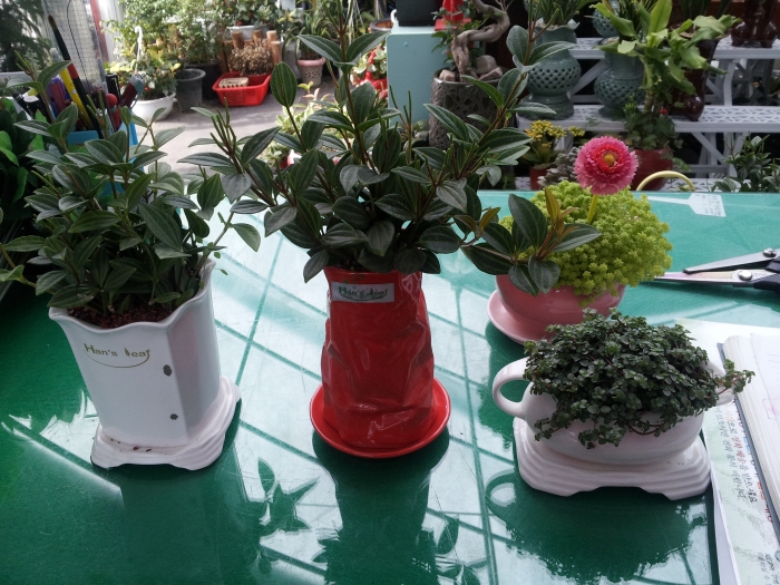 ��û�����ʴ�