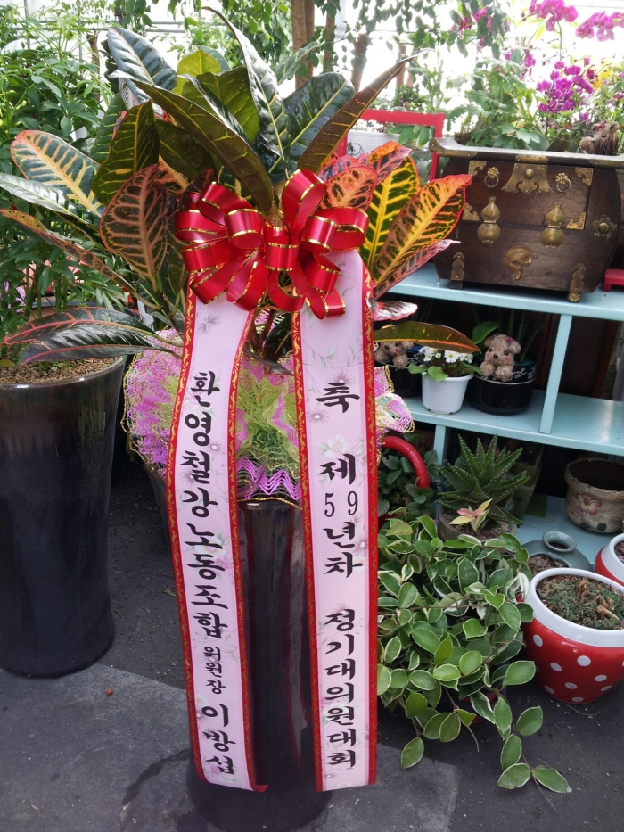 ȯ��ö�� �̹漷��