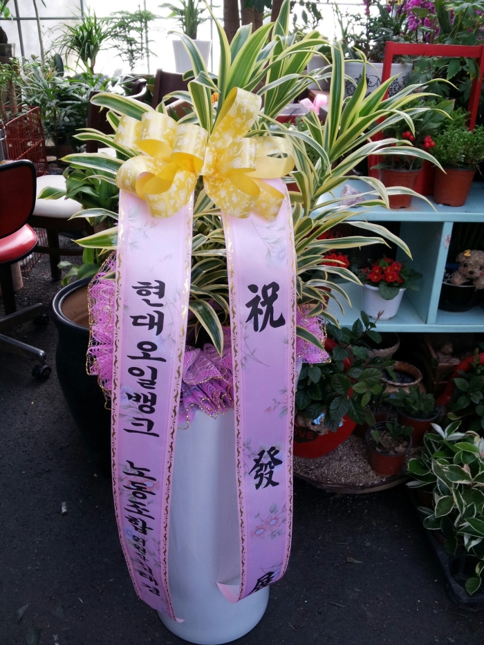 ������Ϲ�ũ ���°��