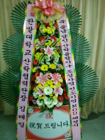 �ѹ�� ���д����