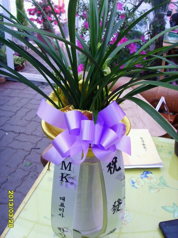 MK��ǥ�̻��