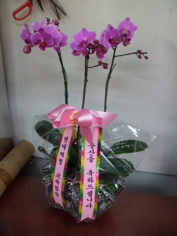 ������ö