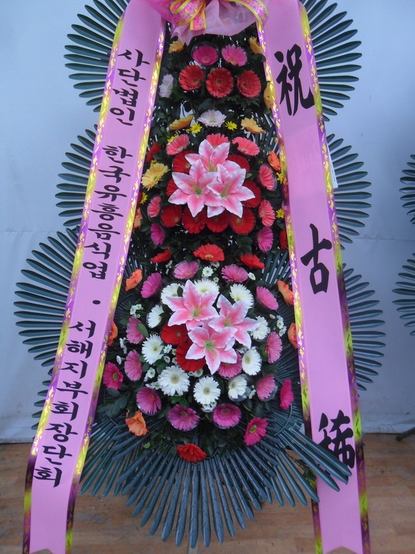 ��������ȸ���