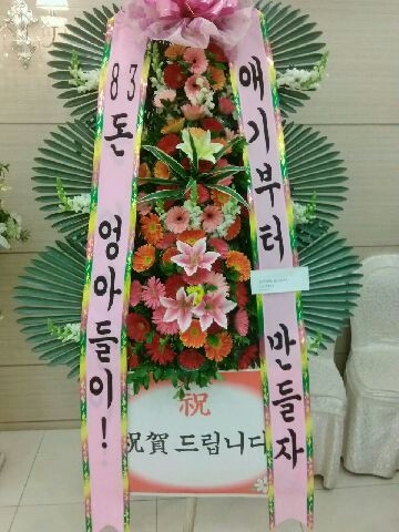 83�����Ƶ����