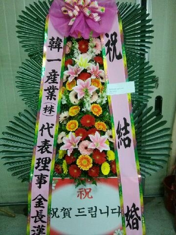 ����(��)