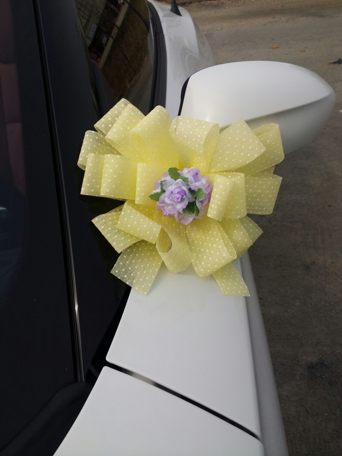 ����ī���