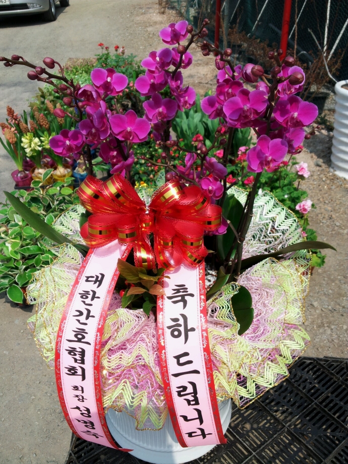 ���Ѱ�ȣ��ȸ ��������