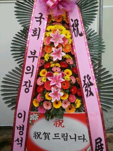 ��ȸ�������̺�����