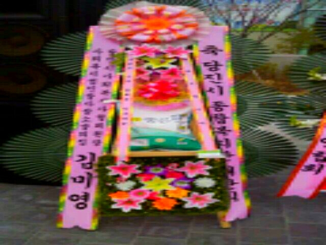 ���Ҹ����������̿������