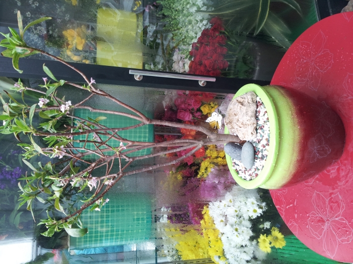 ��ũ����ǥ��