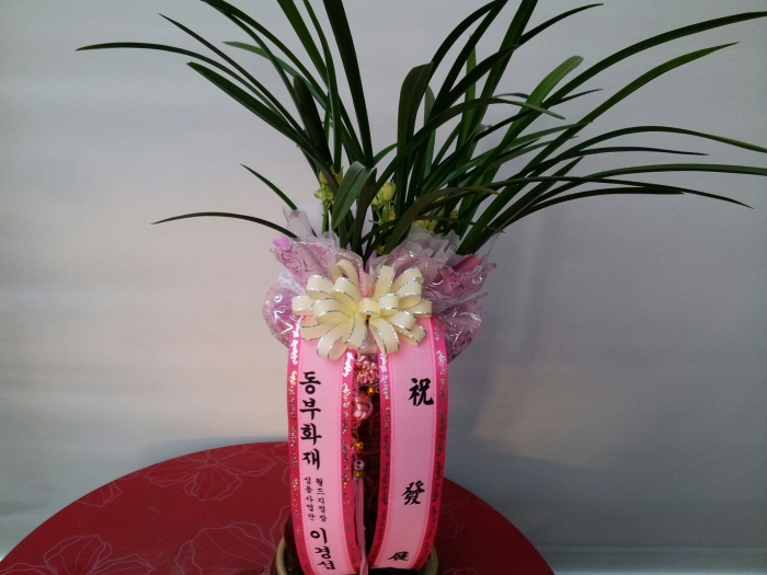 ����ȭ���������̰漷��