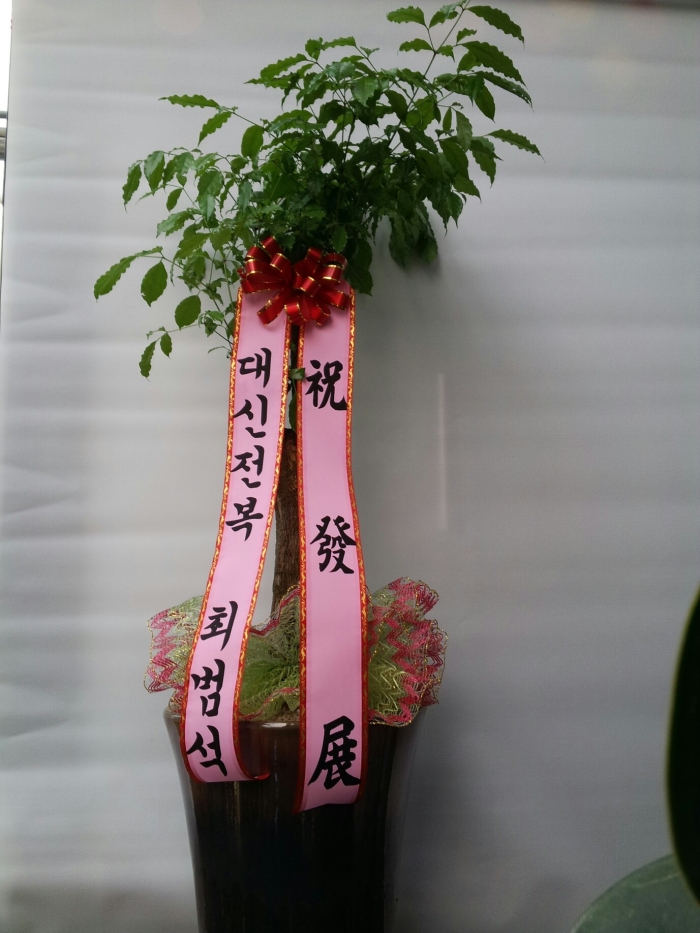 ��������ֹ�����