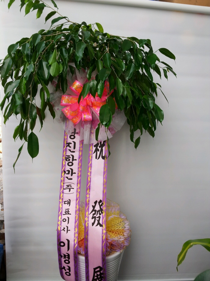 �����׸���ǥ�̻��