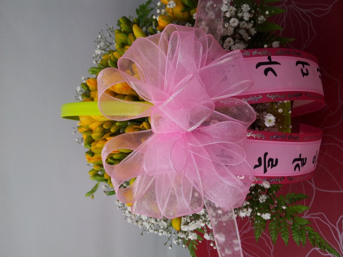 û�������п�