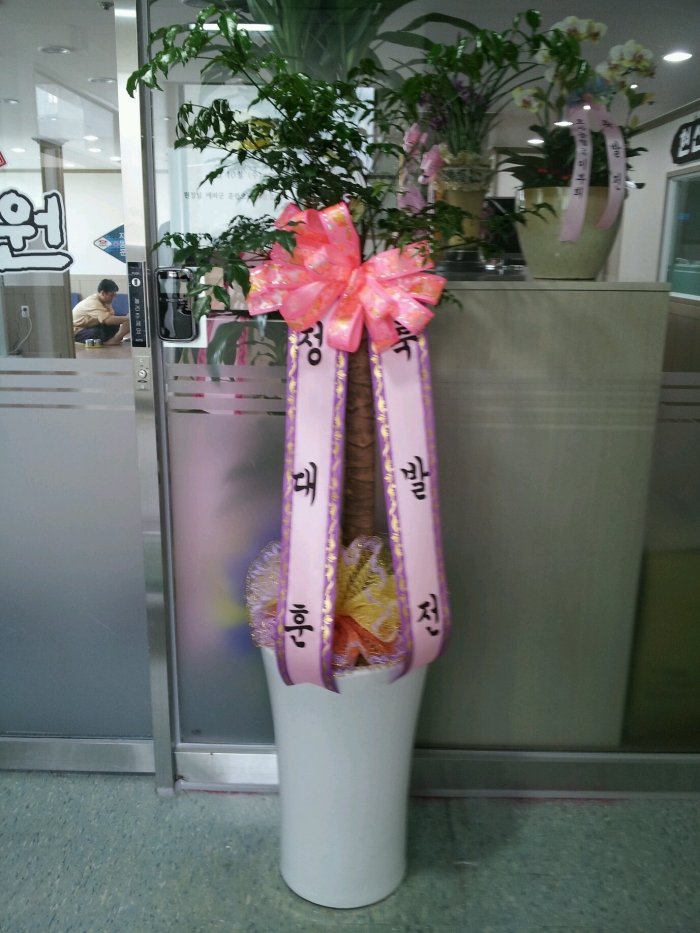 �����ƴ�