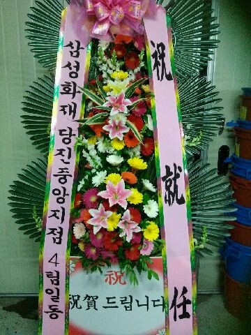 �Ｚȭ��4��