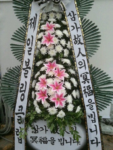 ���Ϻ���Ŭ��(��ȸ����)