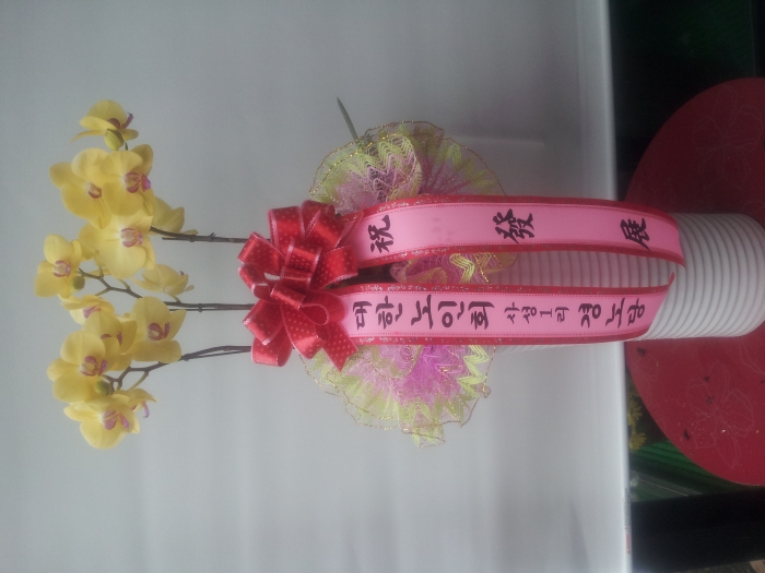 �缺������