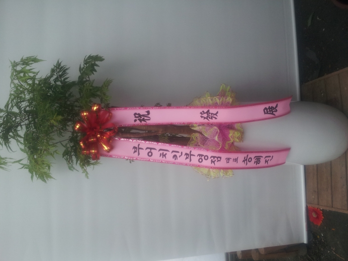 ��������ǥ��