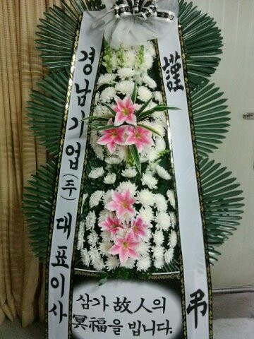 �泲�����ǥ��