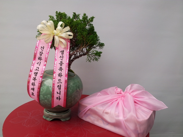 �ؿܿ��� �������