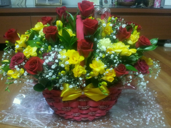 �ϳ�������ȿ�ٴ�