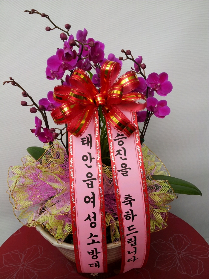 4-16�¾ȿ����ҹ��