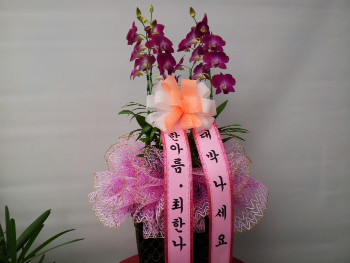 4-17�Ƹ� �ѳ���