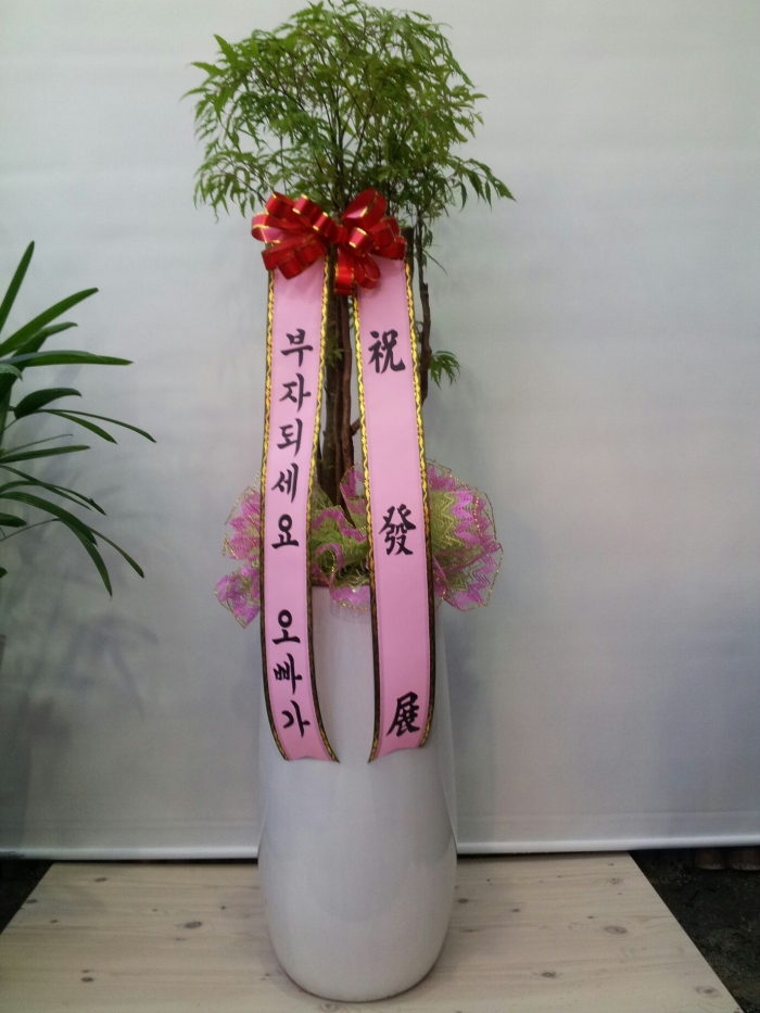 4-19����������õ����ġ��