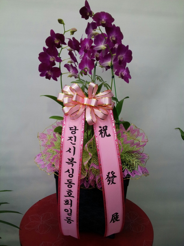 4-19�����ú��̵�ȣȸ