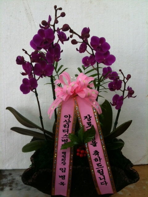 4-27�����������Ӻ�����