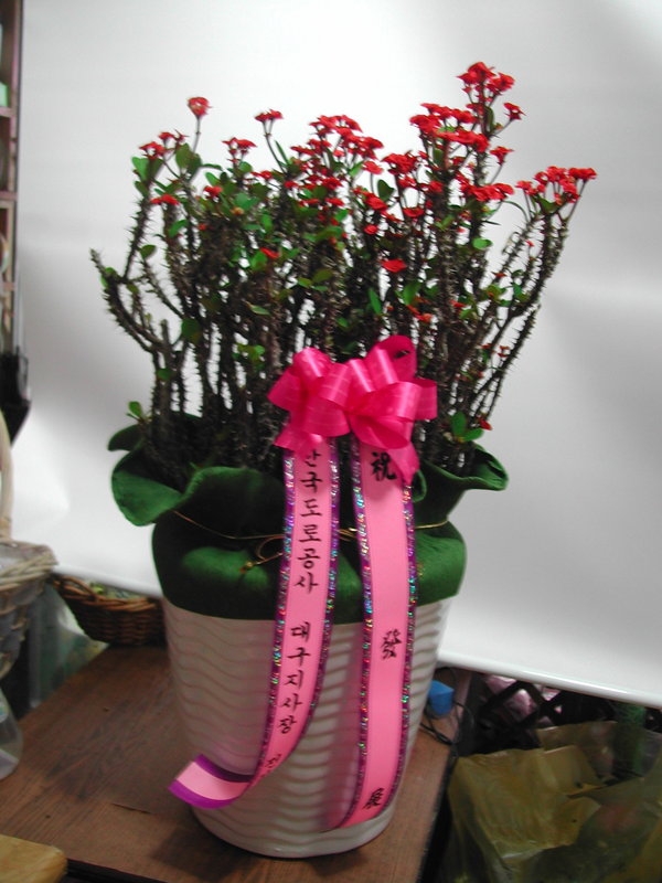 05-01(�ٷ����ǳ�)