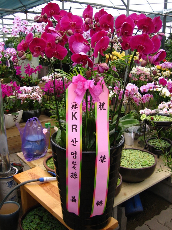 05-01(�ٷ����ǳ�)