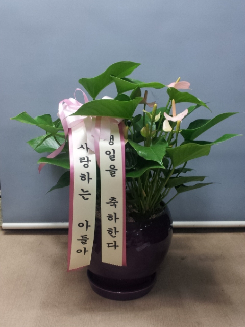 05-01(�ٷ����ǳ�)