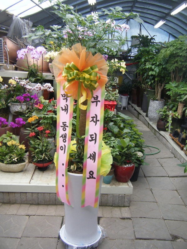 05-01(�ٷ����ǳ�)