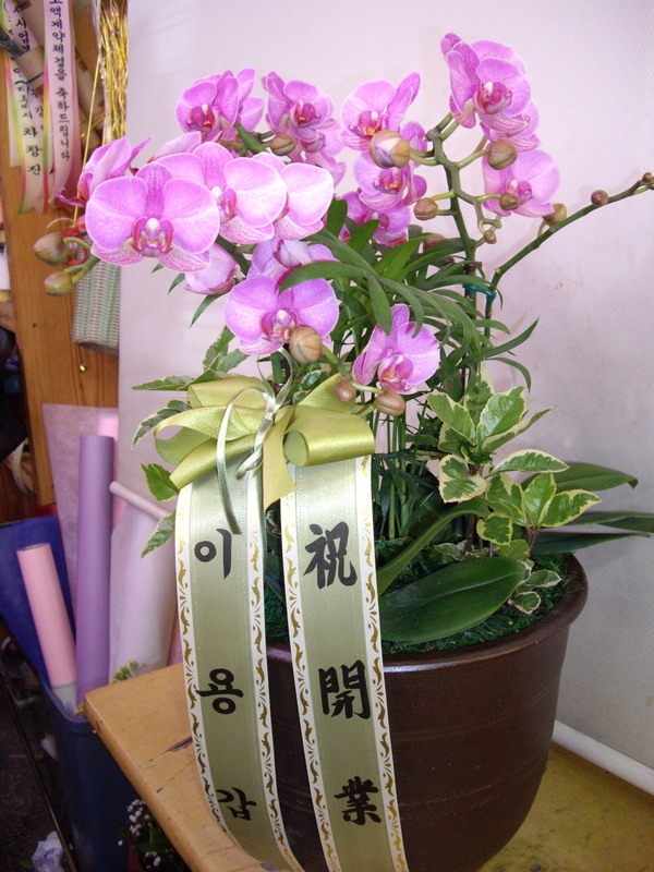 05-8~9����̳�