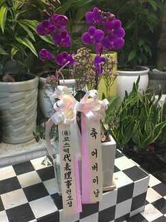 05-8~9����̳�