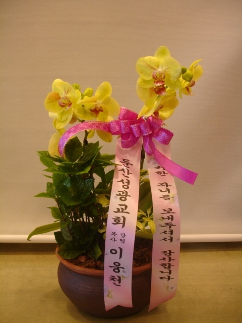 05-8~9����̳�